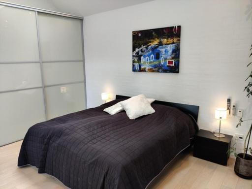 Vaerelser I Midtbyen - 117 M2 Apartment แฮร์นิง ภายนอก รูปภาพ